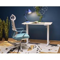 Письмовий стіл з регулюванням висоти Halmar B53 105x56x73